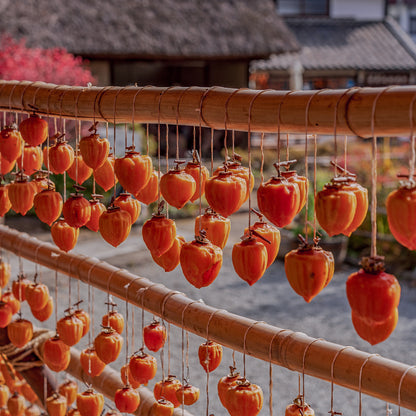 千寿柿