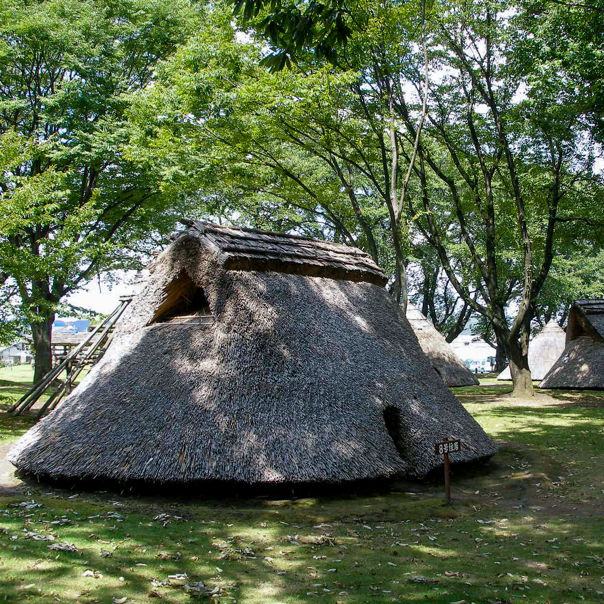 炉畑のともし火・かかみ野旅情詰め合わせ