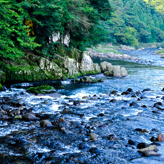 水と緑の散歩道